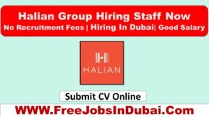 halian careers, halian dubai careers, halian international careers, halian international fz - llc careers, halian uae careers, halian way careers, halian careers uae, the halian way careers.