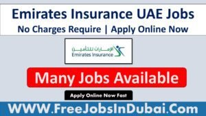 emirates insurance careers, emirates insurance company careers, emirates insurance company abu dhabi careers, emirates insurance abu dhabi careers.