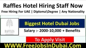 raffles dubai careers, raffles careers, raffles the palm dubai careers, raffles world academy careers, raffles the palm careers, raffles nursery careers, raffles hotel dubai careers