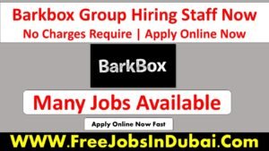 barkbox careers, barkbox careers remote, careers barkbox,