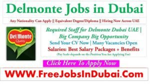 del monte careers, del monte dubai careers, del monte uae careers, del monte foods careers, del monte foods uae careers, del monte careers dubai, del monte careers uae, del monte foods dubai careers.
