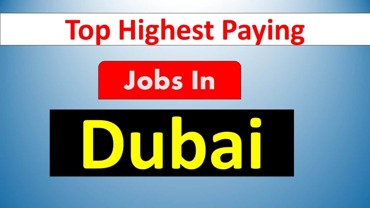 Top Highest Paying Jobs In Dubai