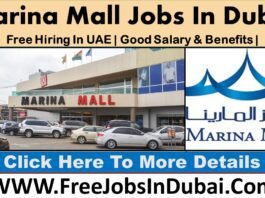 marina mall careers, dubai marina mall careers, abu dhabi marina mall careers, marina mall abu dhabi careers, marina mall dubai careers