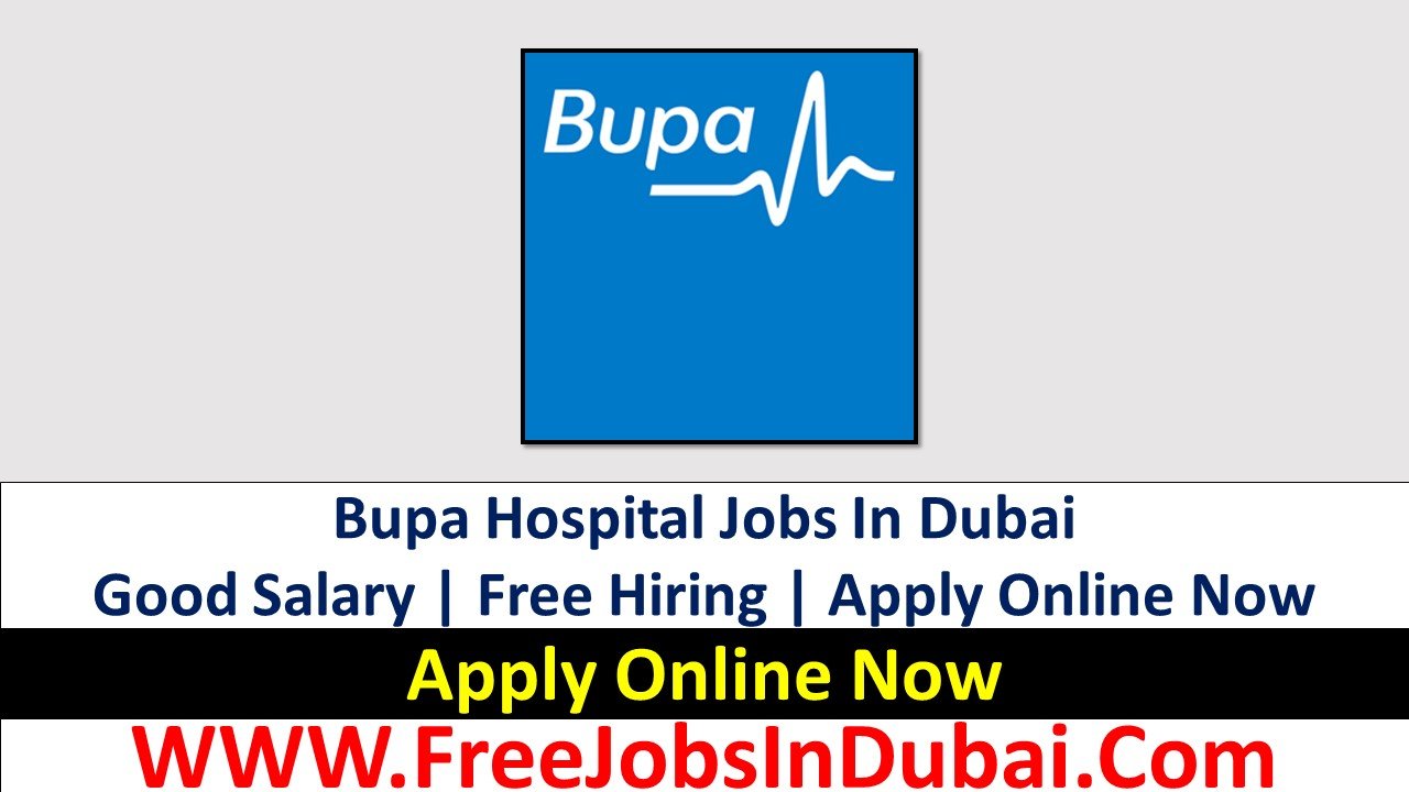 bupa careers Jobs In UAE