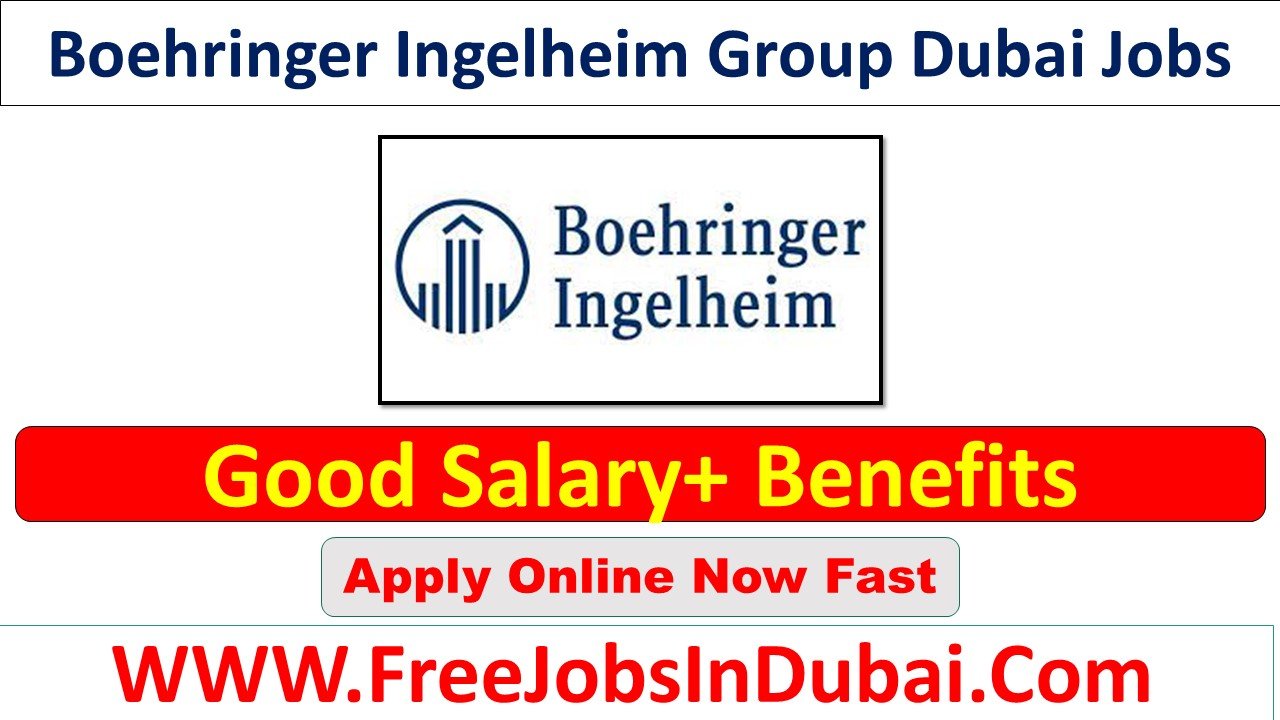 boehringer ingelheim career Jobs