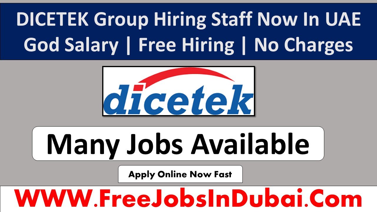 dicetek careers Jobs In Dubai