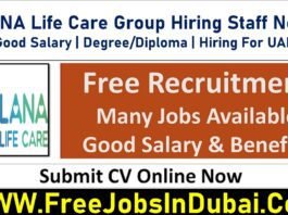 lana life care careers, lana life care UAE careers, lana life care Dubai careers,