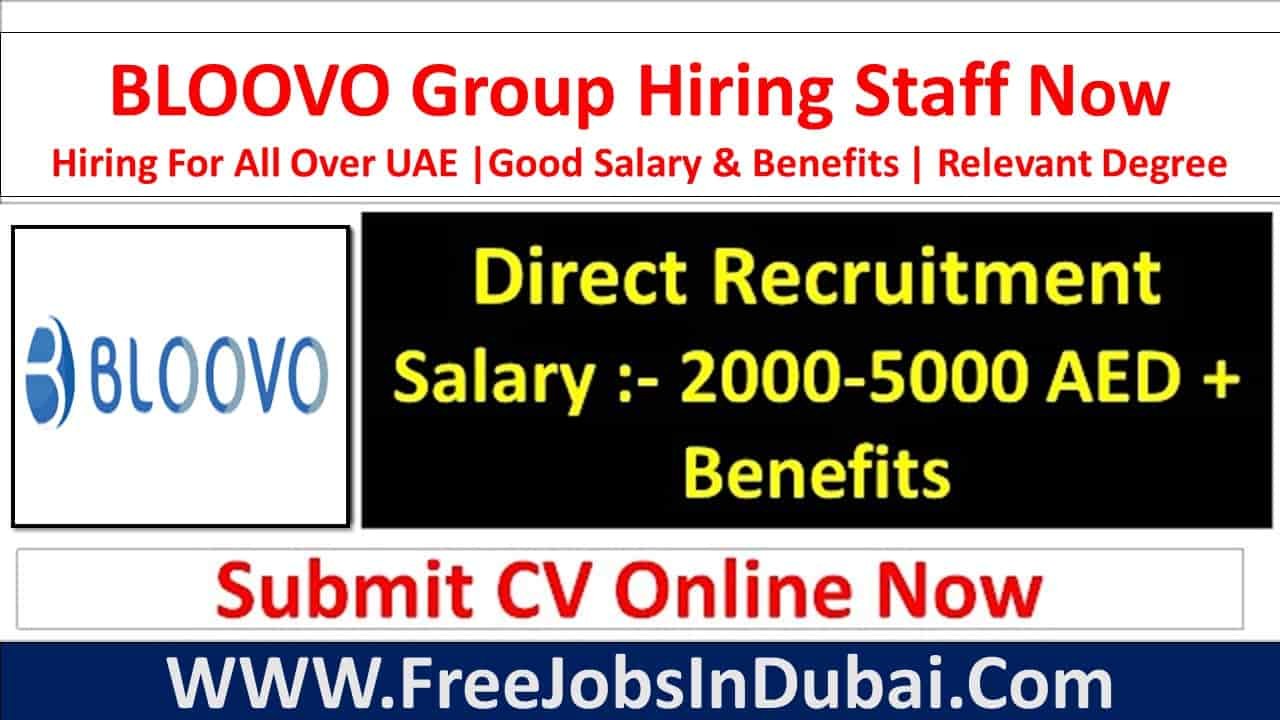 bloovo career Dubai Jobs