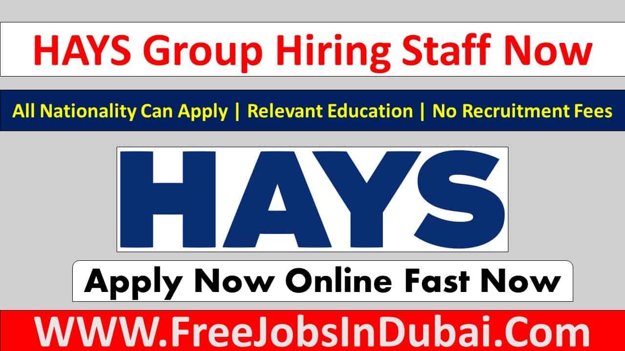 hays recruitment careers, hays recruitment Dubai careers,