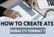 Dubai CV Format