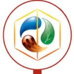 Hills & Fort Construction