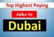 Top Highest Paying Jobs In Dubai