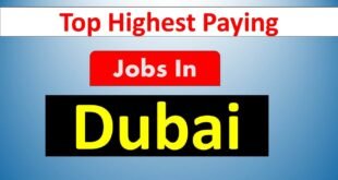 Top Highest Paying Jobs In Dubai