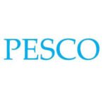 PESCO Holding